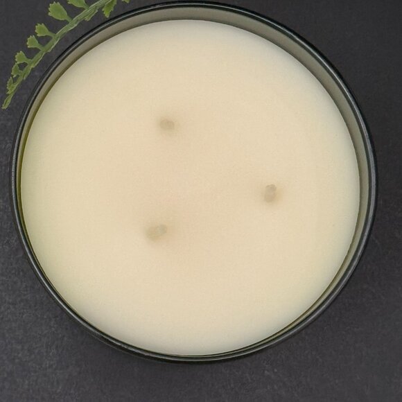 BBW Greenhouse Fern Bath & Body Works 3 Wick Candle - Picture 7 of 10